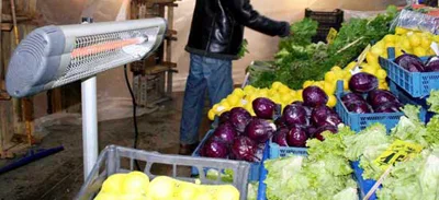 Sebzecilerden dona karşı önlem