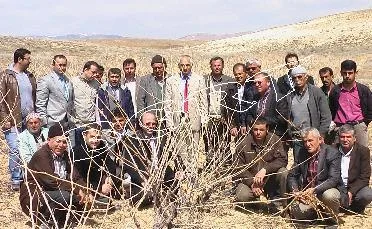 Çiftçiye budama teknikleri anlatıldı 