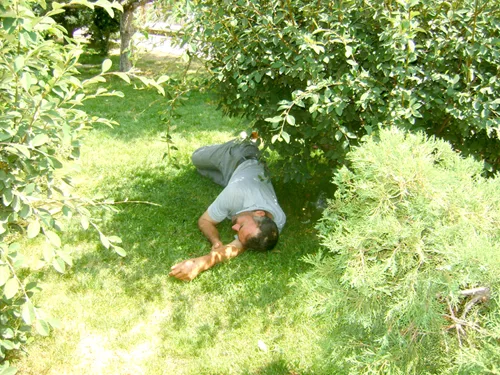 Sıcaklardan bunalan vatandaşlarlar şekerleme yaptı 