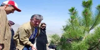 10 yılda 13 milyon fidan
