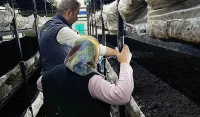 Beyşehir’de Mantar Üreticilerine Hijyen ve Teknik Destek